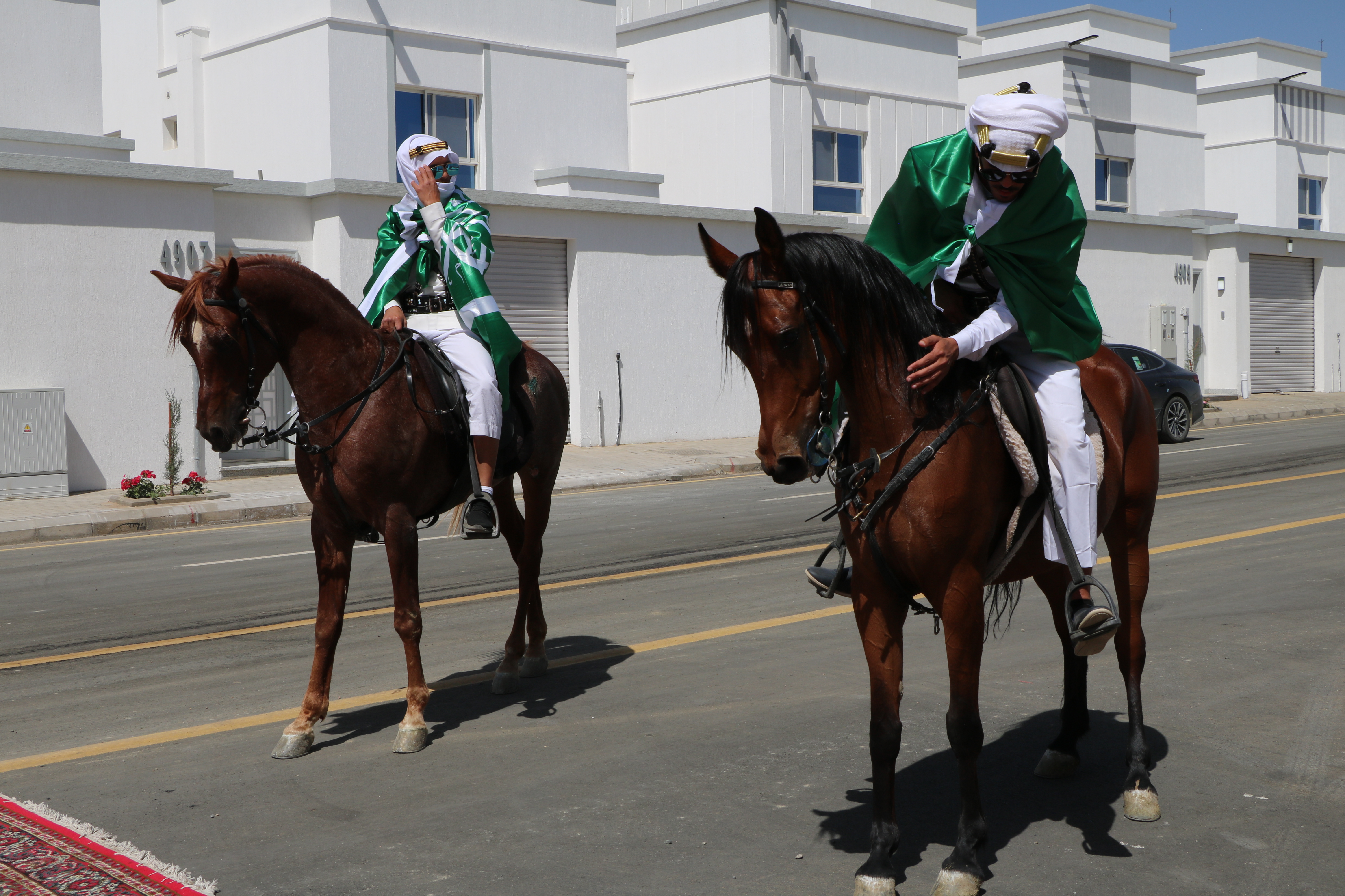 إطلاق مشروع الروضة ساين